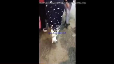 محجبة ماشية فى الشارع عليها جوز طياز هتخلى زبرك نااار وتجيب لوحدك